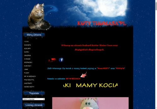 koty-mainecoon.pl