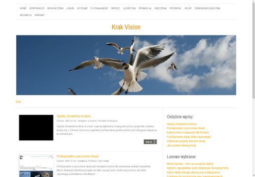 krak-vision.pl
