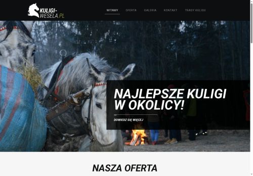 kuligi-wesela.pl