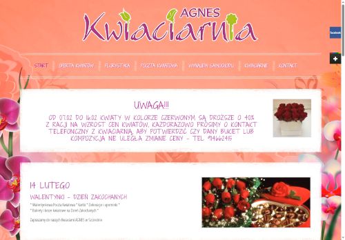 kwiaciarniaagnes.pl