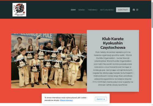 kyokushin-czestochowa.pl