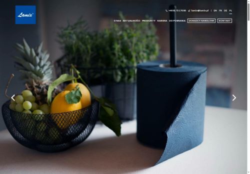 lamix.com.pl