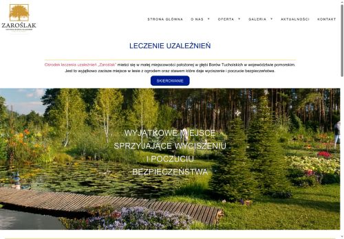 leczenie-uzaleznien.com