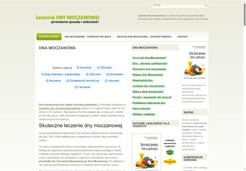 leczeniednymoczanowej.pl