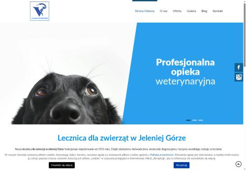 lecznicasobieszow.pl