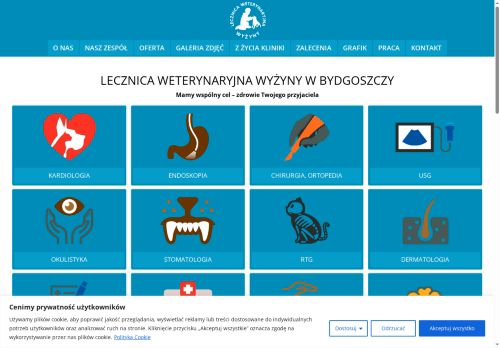 lecznicawyzyny.pl