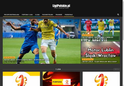 ligipolskie.pl