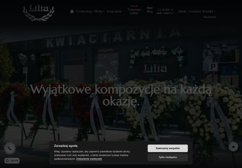 liliamyszkow.com