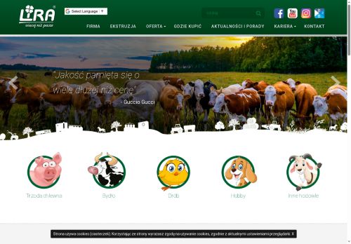 lira-pasze.pl