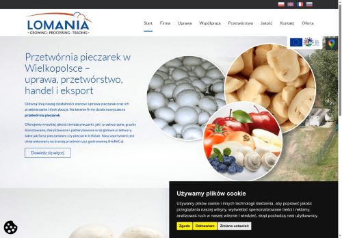 lomania.pl