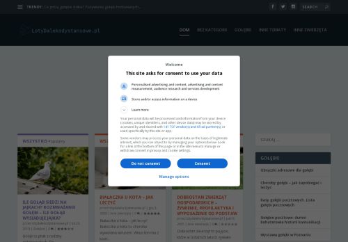 lotydalekodystansowe.pl