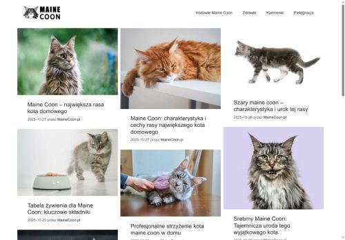 mainecoon.pl