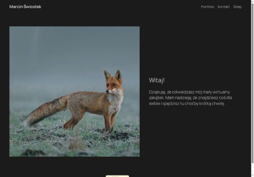 marcinswiostek.com