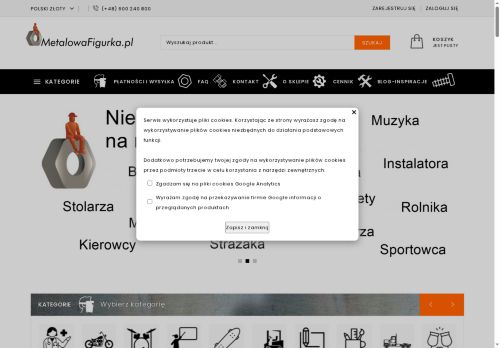 metaloplastyka.ruschke.pl