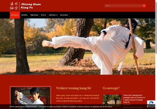 mizong.pl