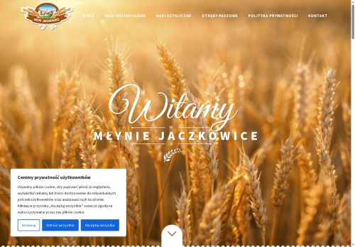 mlynjaczkowice.pl