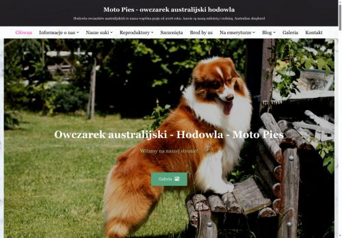 motopies.pl