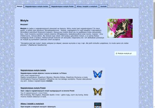 motyle-motyle.pl