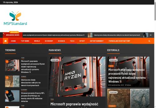 mspstandard.pl