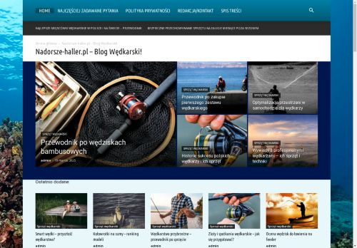 nadorsze-haller.pl
