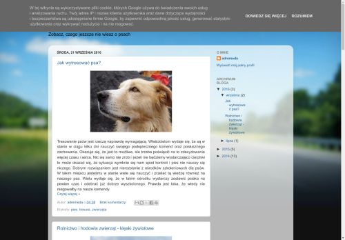 najprzyjaciel-pies.blogspot.com