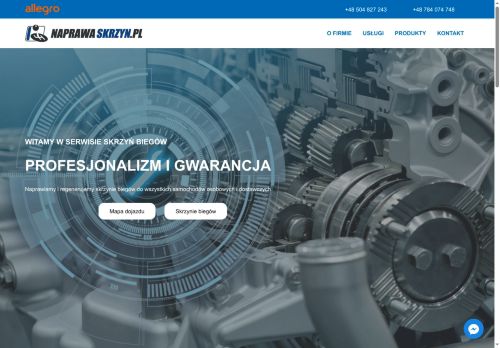naprawaskrzyn.pl