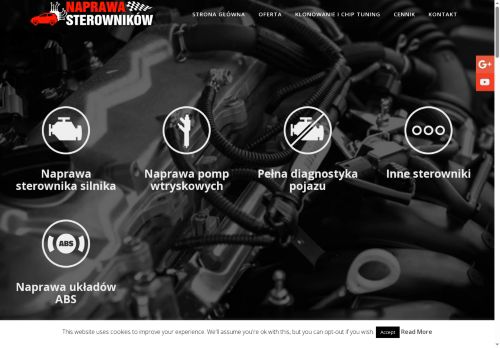 naprawasterownikow.pl