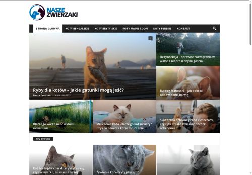 nasze-zwierzaki.pl