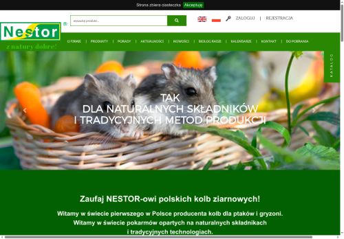 nestor.com.pl