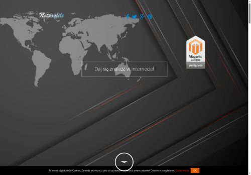 netprofile.com.pl