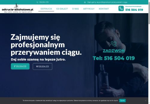 odtrucia-alkoholowe.pl