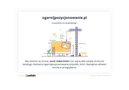 ogarnijpozycjonowanie.pl
