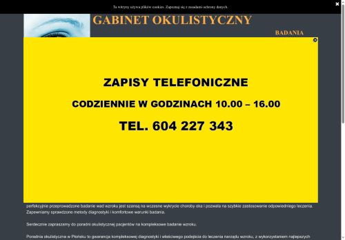okulistaplonsk.pl