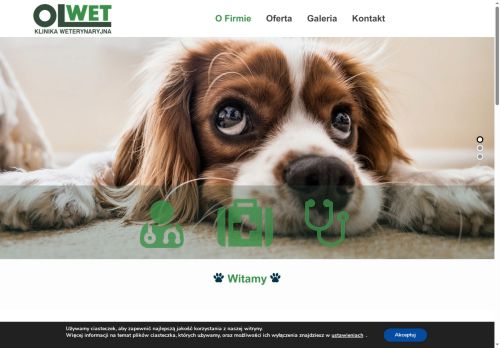 olwet.pl