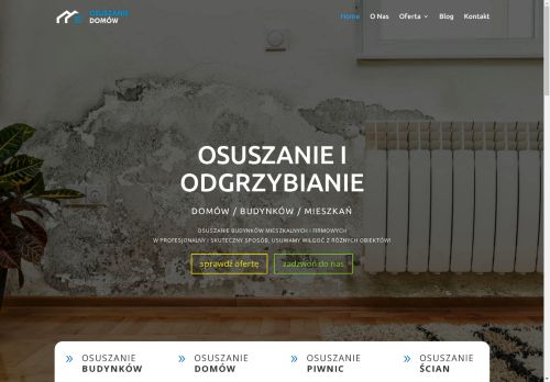 osuszaniebudynkow.net