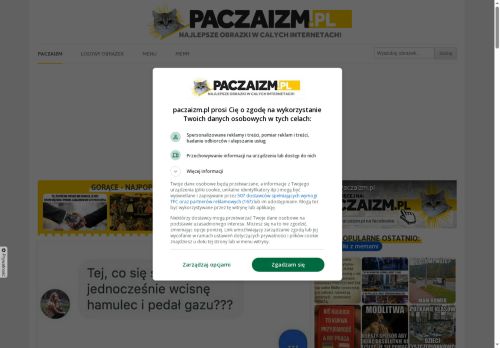 paczaizm.pl