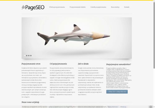 pageseo.pl