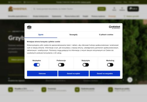 pangrzyb.pl