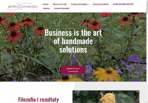 perfect-connection.com