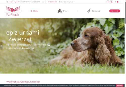 petangels.pl