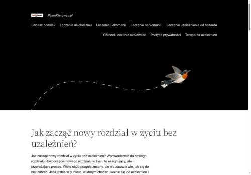 pijanikierowcy.pl