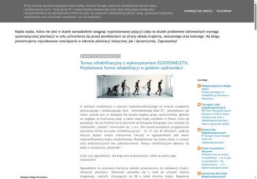 pionizatory.blogspot.com