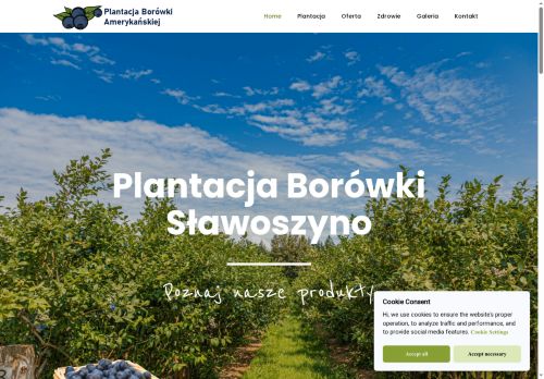 plantacjaborowki.eu