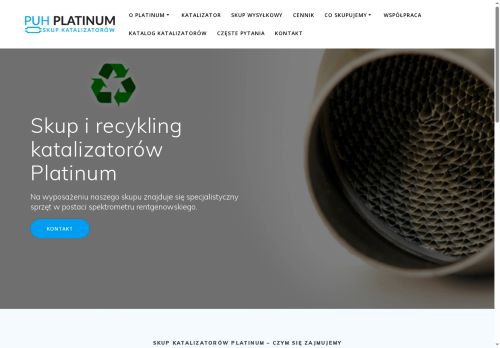 platinum-katalizatory.pl