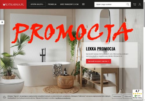 plytkarnia.pl