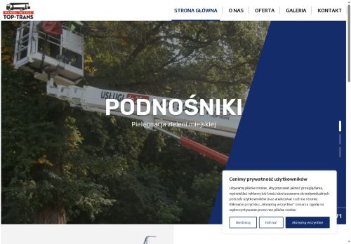 podnosnikichoszczno.pl