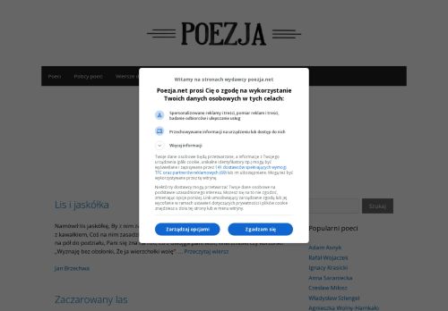poezja.net