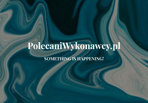 polecaniwykonawcy.pl