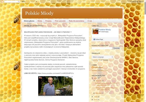 polskiemiody.blogspot.com