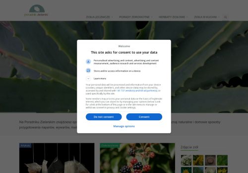 poradnikzielarski.pl